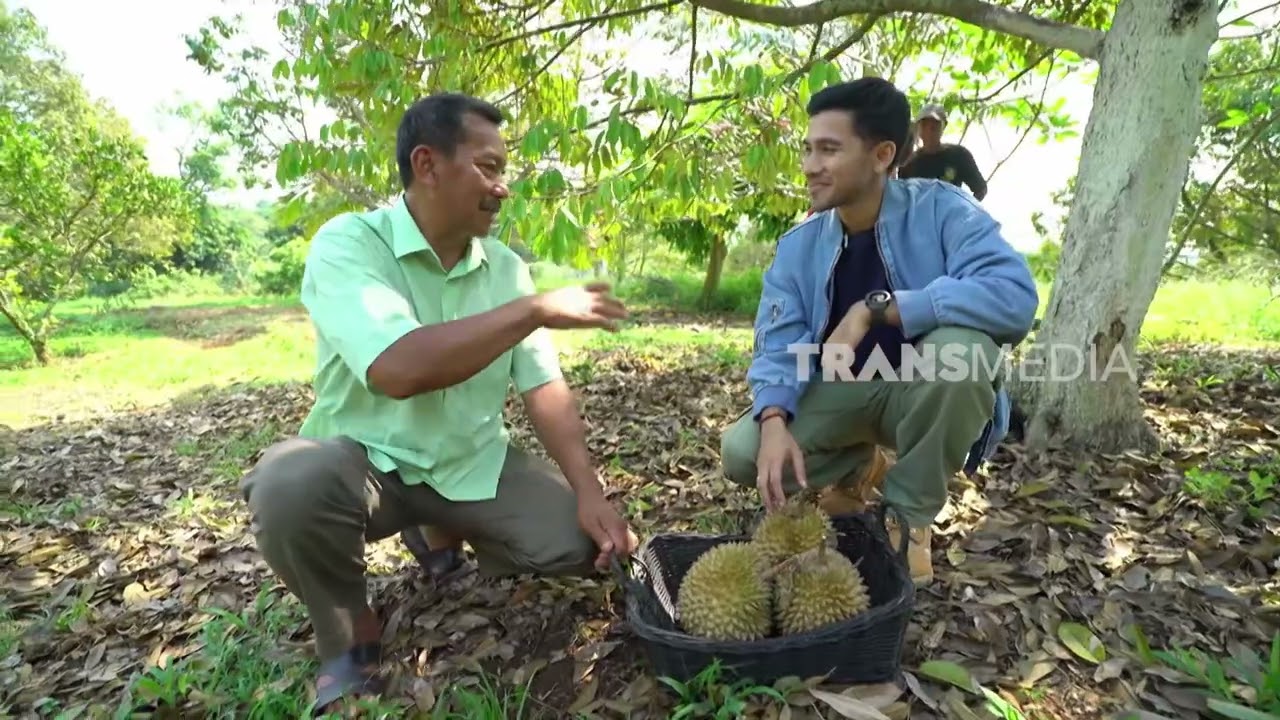 Harta Dilepas Ikhlas, Durian Panen Tanpa Batas | JALUR LANGIT (29/12/25) Part 2