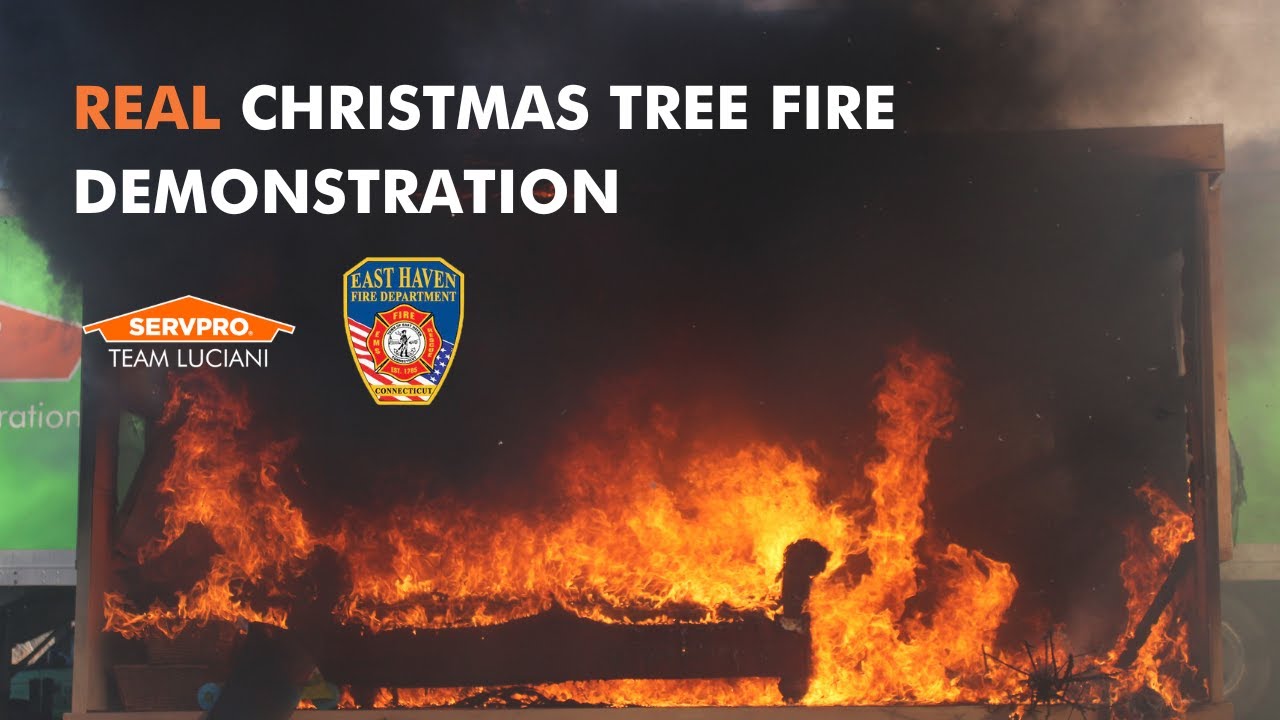 Real Christmas Tree Fire Demonstration
