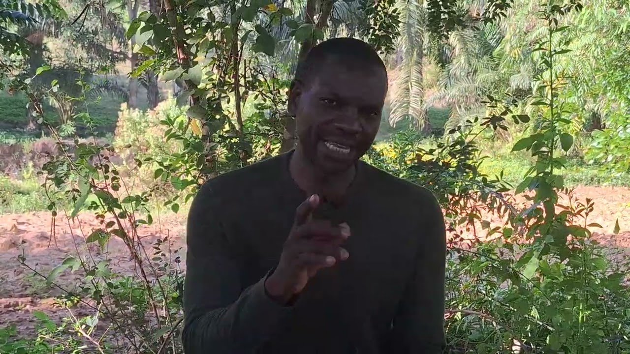 SIRI KUBWA ILIYOPO, KATIKA SIKU YA SABA YA UUMBAJI. SEHEMU YA 3 Wilfred Mwakatage