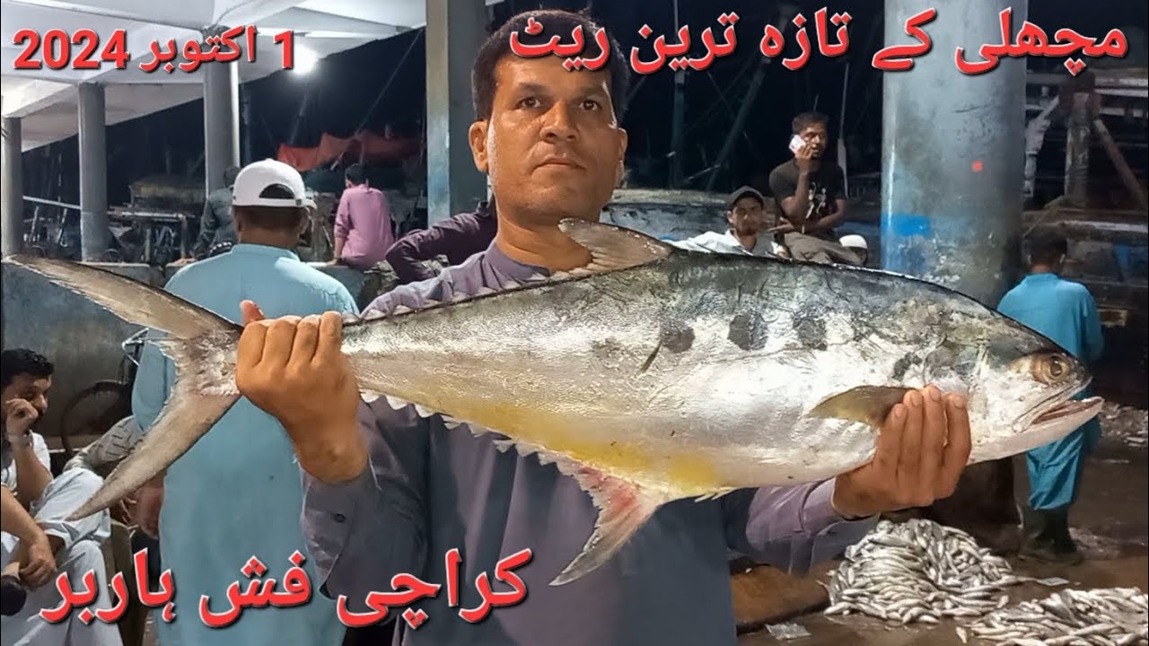 مچھلی کے تازہ ترین ریٹ کراچی فش ہاربر🐟🐠