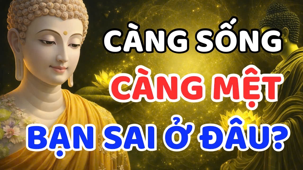 NGƯỜI XƯA DẠY : NGƯỜI KHÔN NGOAN , KHÔNG TỨC, KHÔNG LO, KHÔNG CÃI