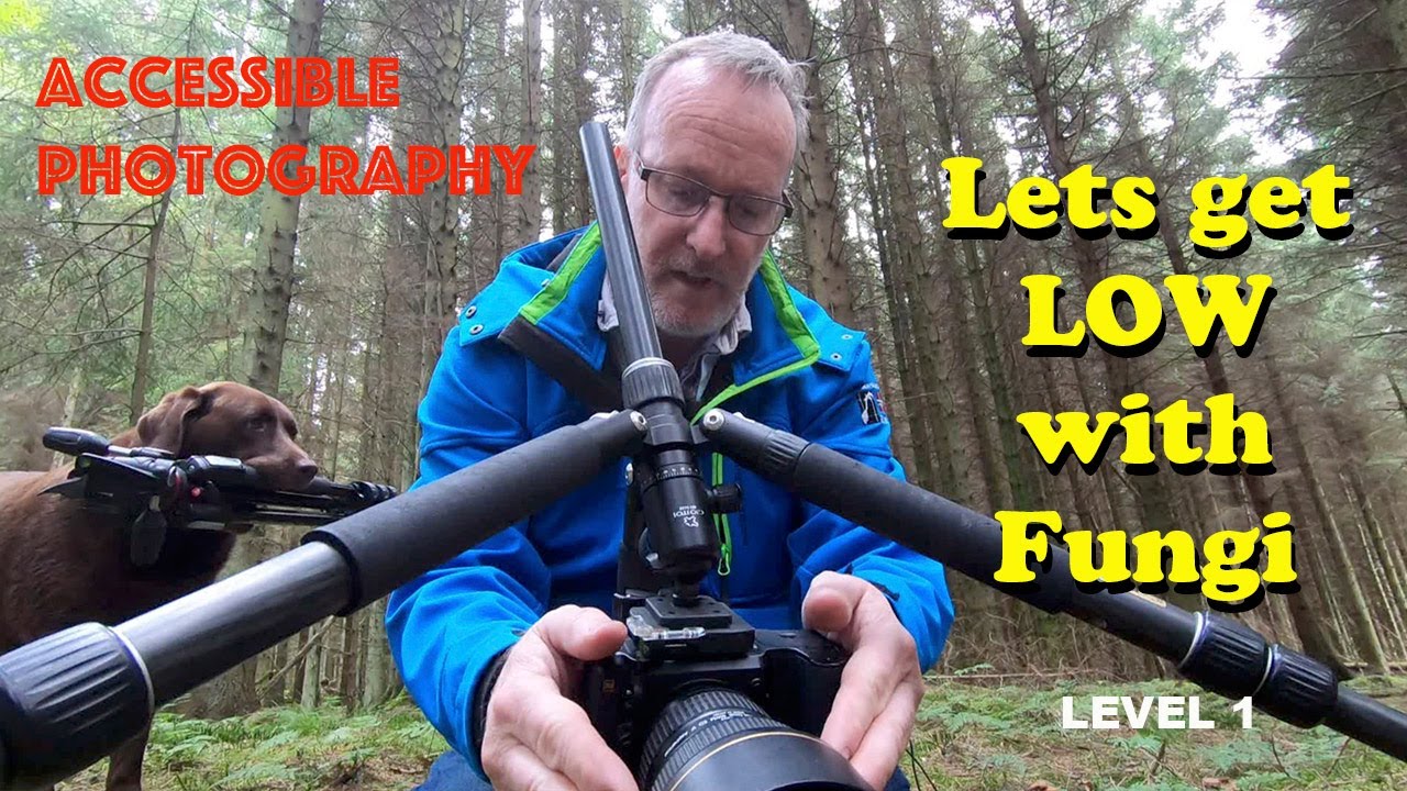 Lets get Low with Fungi