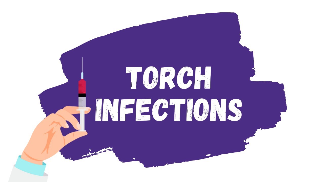 TORCH-инфекции: объяснение | Токсоплазмоз, ЦМВ, краснуха, ВПГ-2