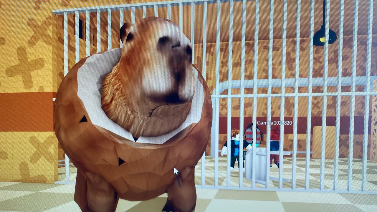 Побег от бурбалони лулилоли в роблокс Italian brainrot Roblox