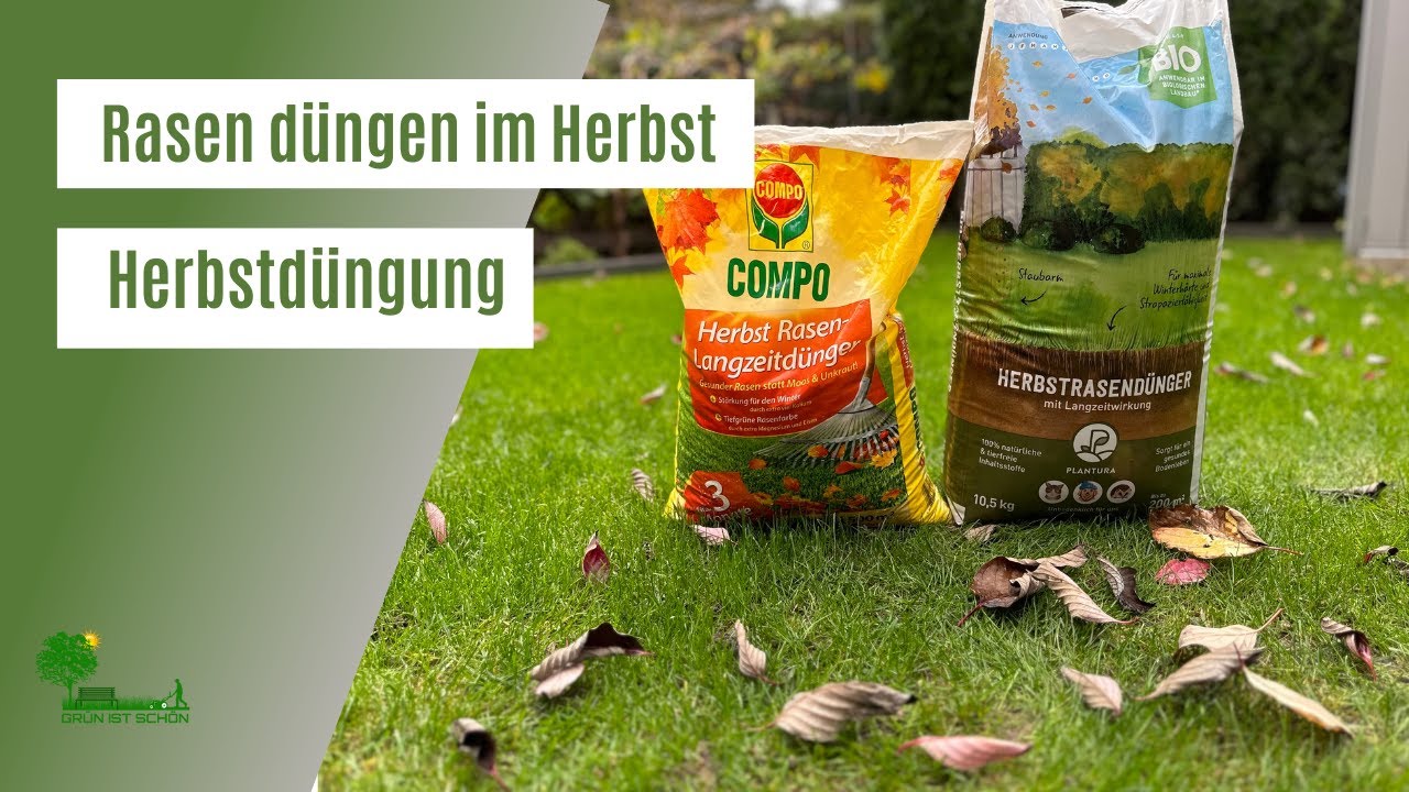Rasen düngen im Herbst | Der richtige Zeitpunkt für die Herbstdüngung | Rasen Winterfest machen