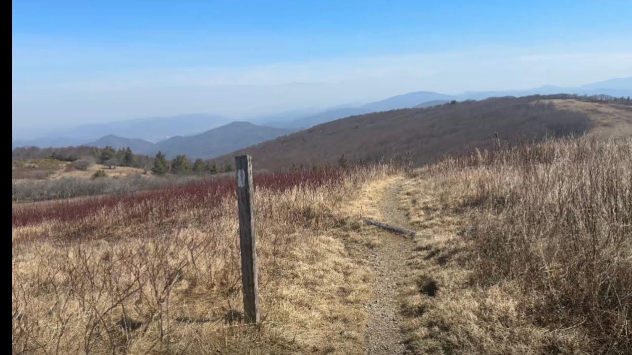 День 43, AT Thru-Hike 2025, перевал Сэма до места стоянки, отметка мили 334,6