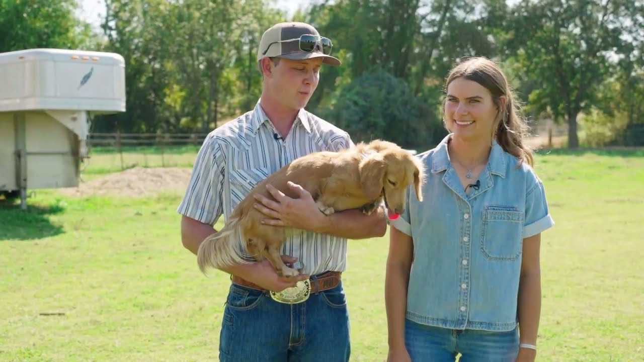 California Farm Bureau 2025 Farm Dog of the Year Contest Winner - Willy - CAFB 107th Annual Meeting