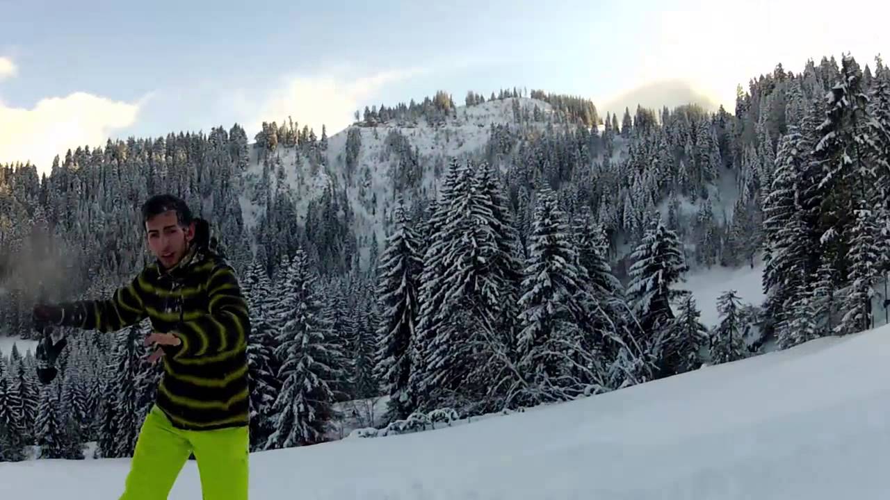 Descente en luge du Moléson!