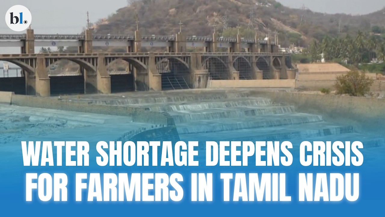 Water shortage deepens crisis for farmers in Tamil Nadu's Cauvery Delta