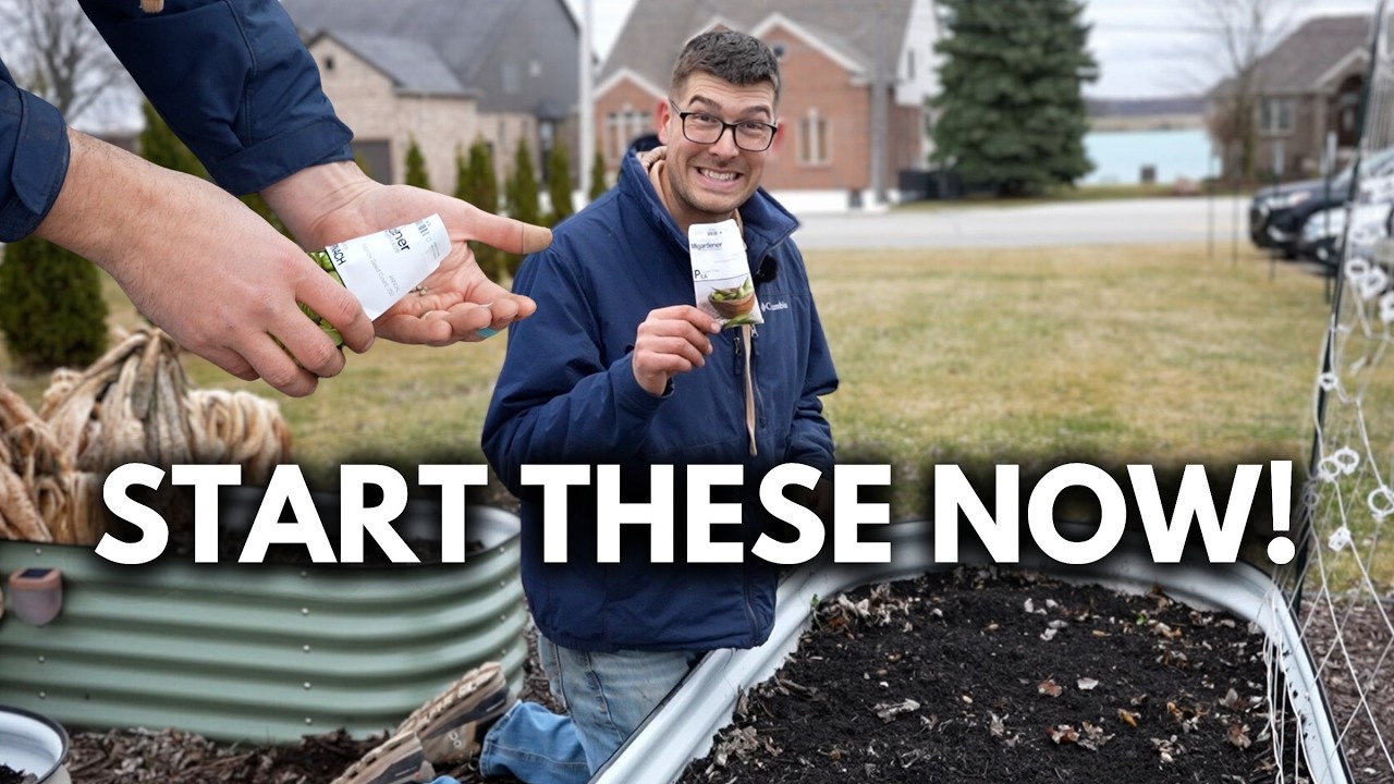 It's Time! Seeds To Direct Sow NOW In Late March!