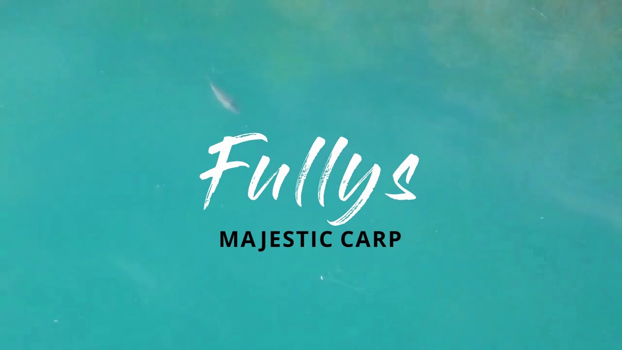 Fullys - Majestic Carp