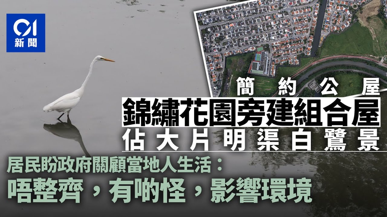 簡約公屋｜錦繡花園門前拔起大量組合屋可賞白鷺　居民感「唔襯」｜01新聞