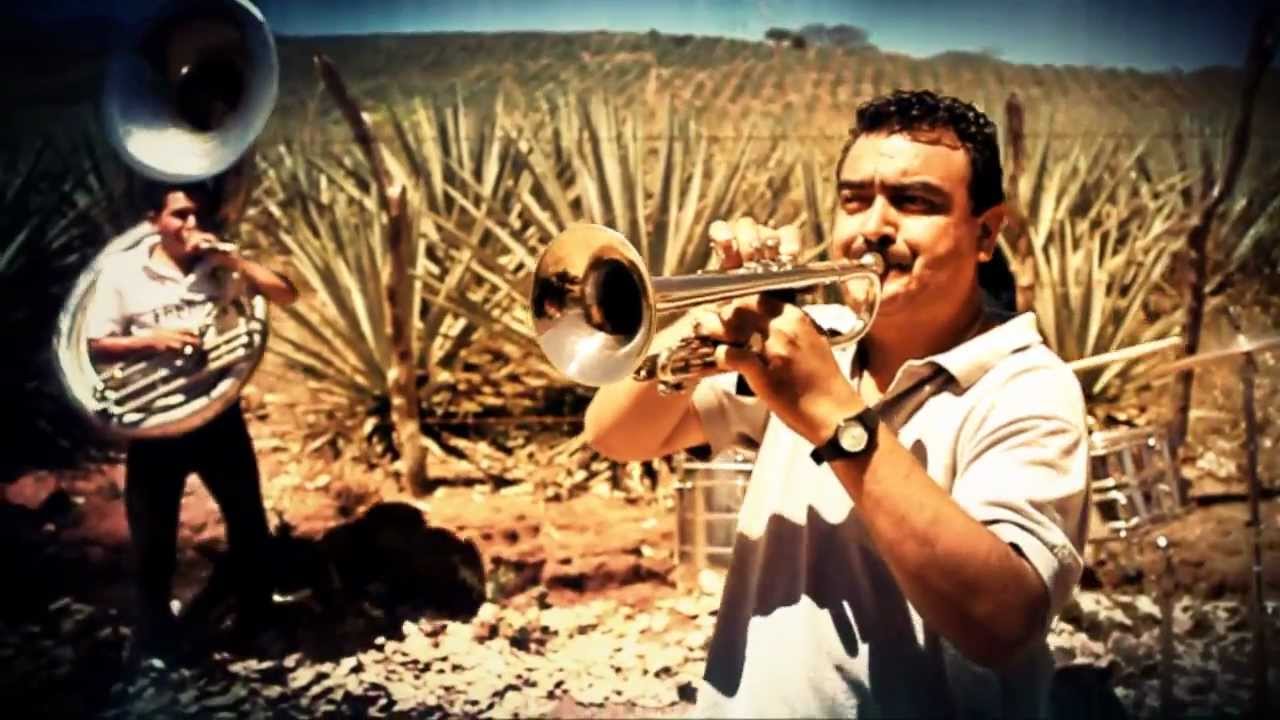 Enrique Alfaro - Por una Historia Diferente