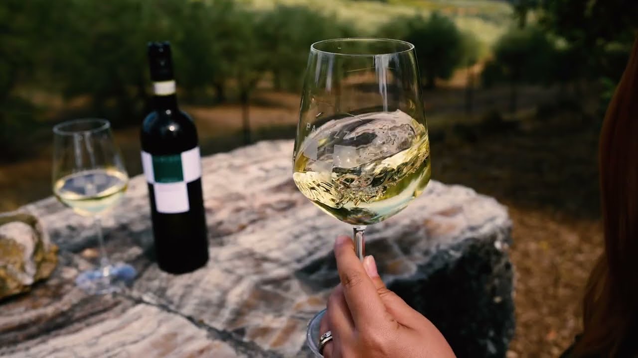 Panizzi Vernaccia di San Gimignano