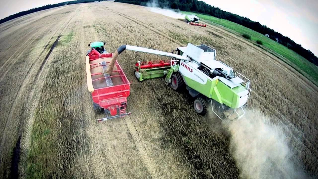 Umega trailers show