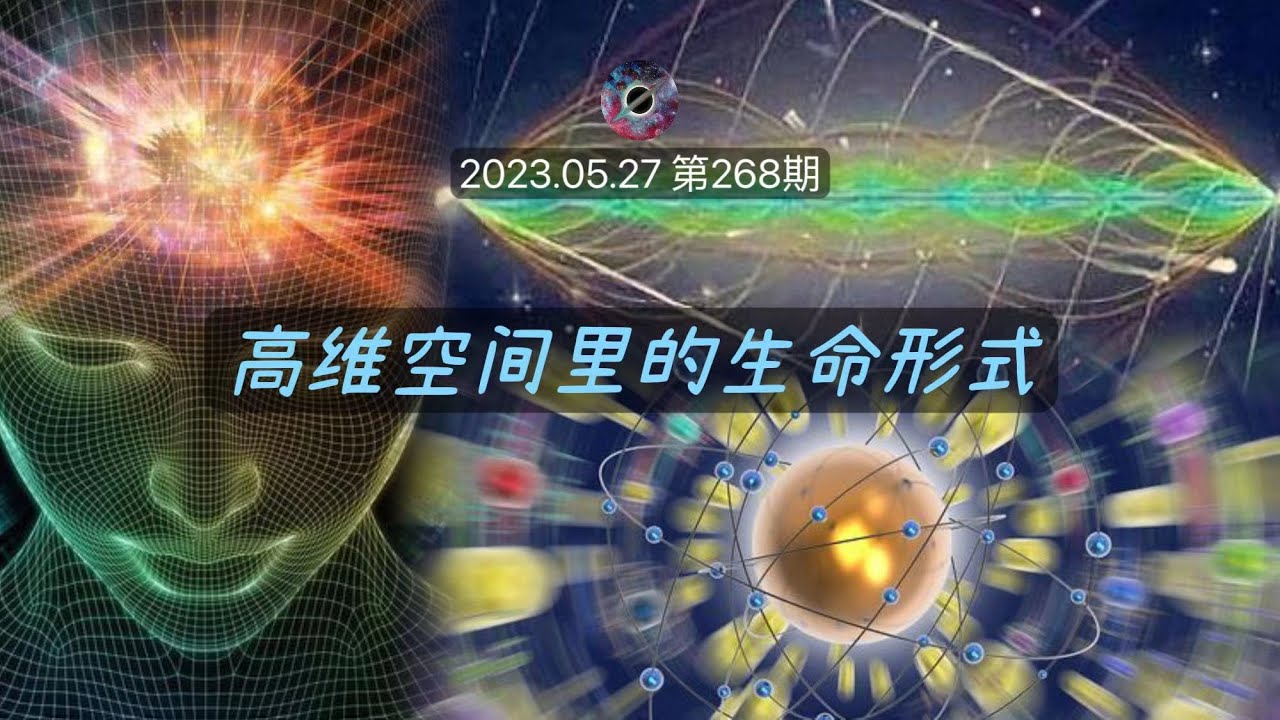 高维空间里的生命形式