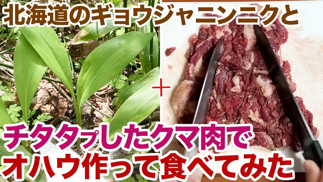 ギョウジャニンニクとチタタプしたクマ肉のオハウを食べた