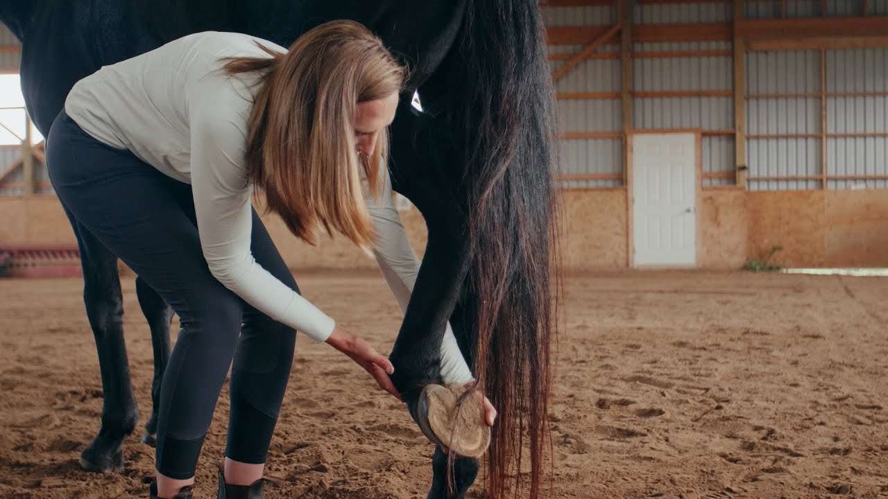 NO9E Homework: Hock Fascial Release / Feldenkrais Exercise