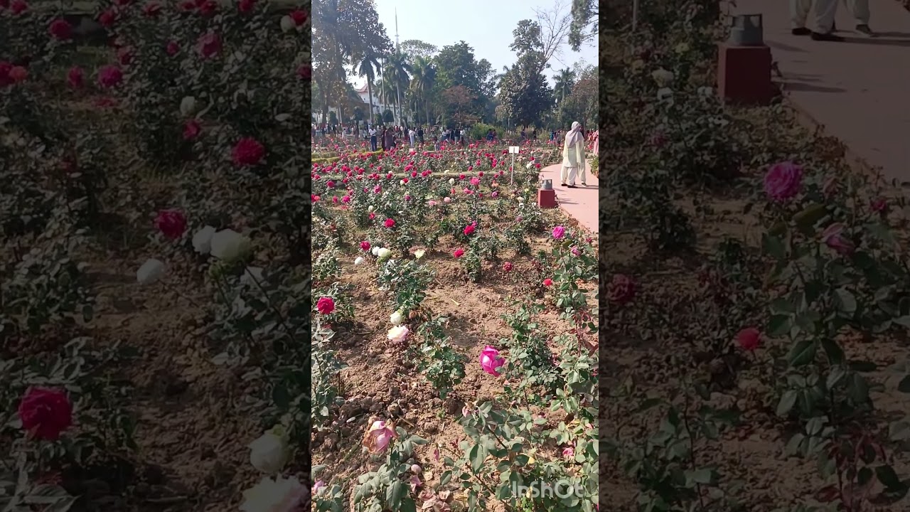 The Garden of Lok Bhawan ||#2026#yt #song #lokbhawan #shorts