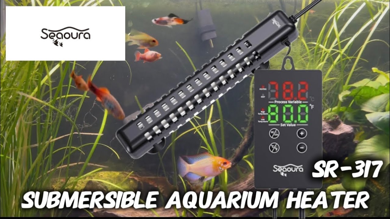 Seaoura SR-317 Submersible Heater Review | Setup & Performance 