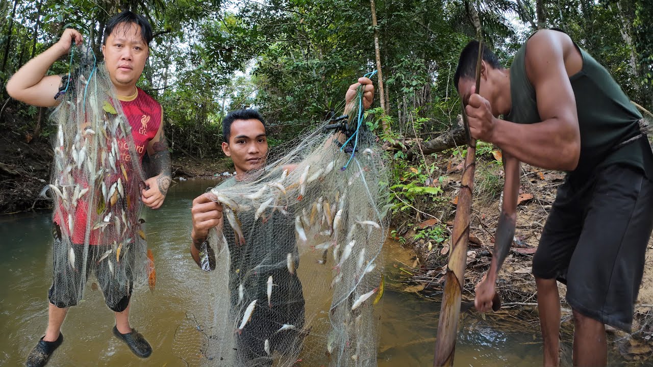 MACAM SATU RUTIN TINGGAL DI KAMPUNG // AWAL PAGI ANGKAT PUKAT DAN AMBIL REBUNG //