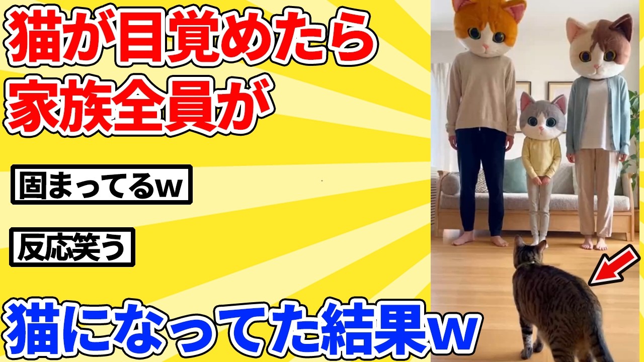 【2ch動物スレ】猫が目覚めたら、家族全員が猫になってた結果ｗｗｗｗｗ
