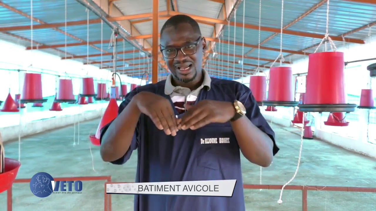 COMMENT CONSTRUIRE UN BÂTIMENT AVICOLE, DALALE NDANANE Wally DIOP MAZ