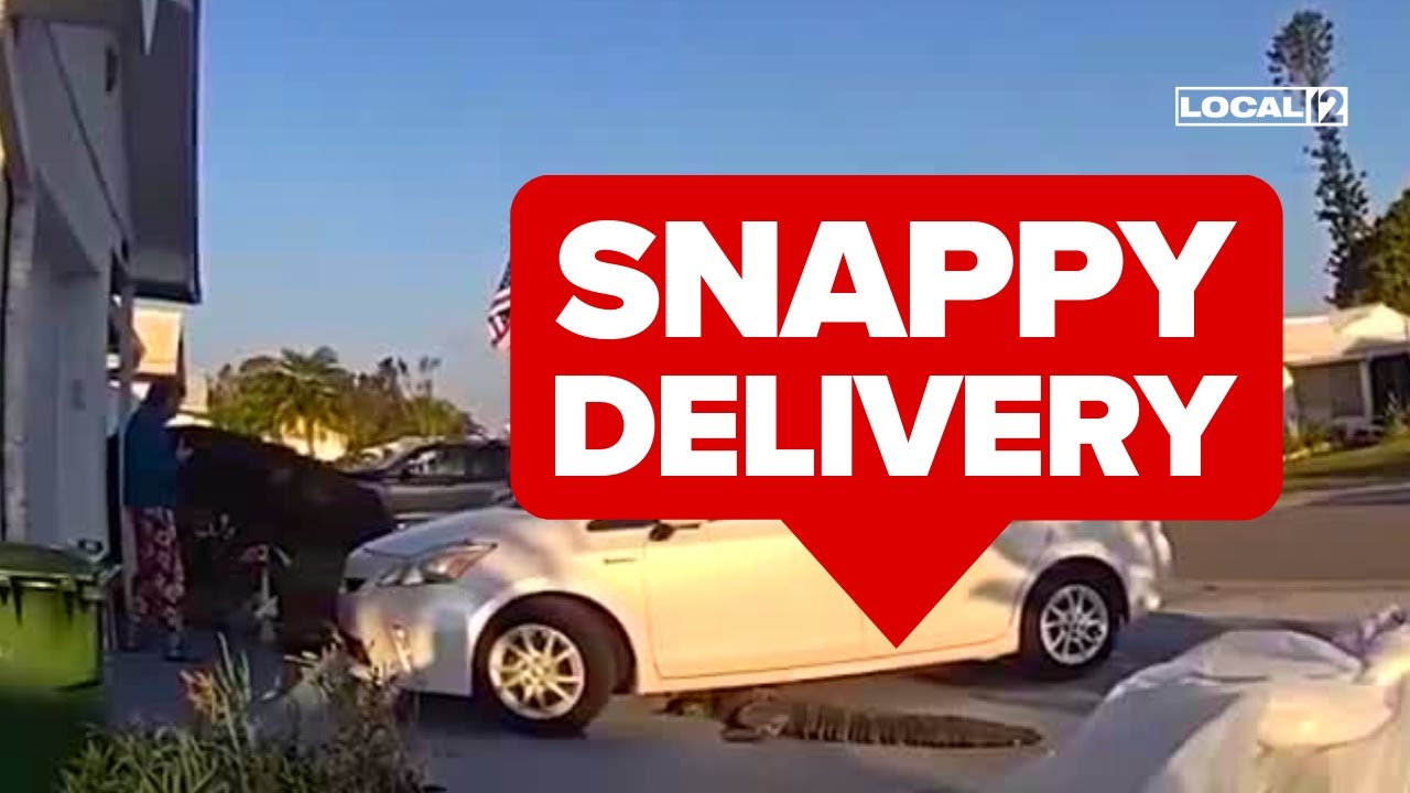 'Get in the house!': Officer completes pizza delivery to customer with alligator problem