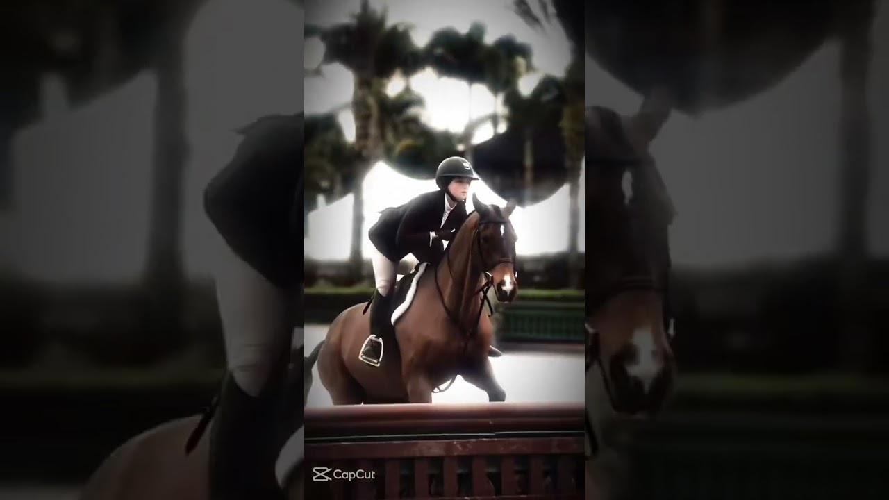 This is so cool #horse #horsesport #equestrian #sporthorses #horsefan