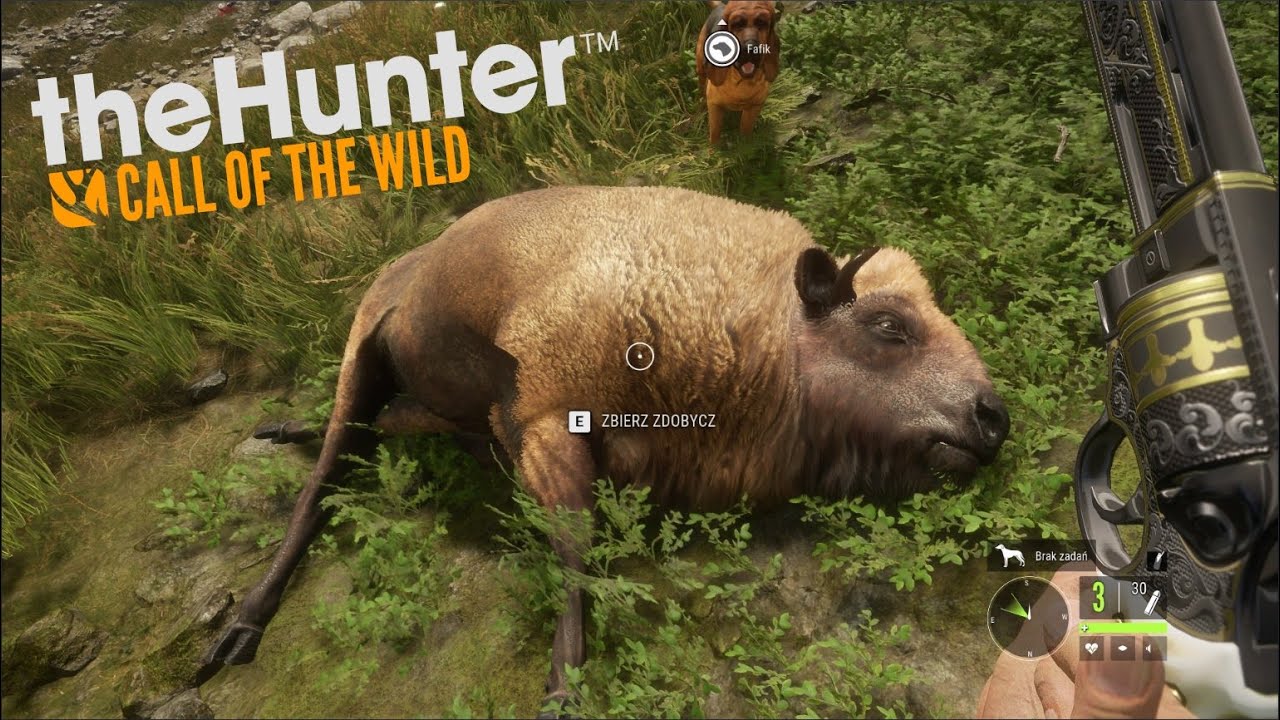 Polowanie na żubry z rewolweru | theHunter: Call of the Wild (#4)