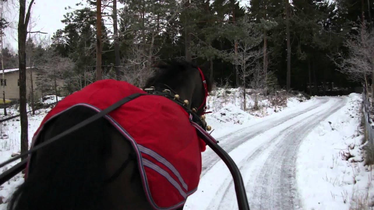kjøre tur med hest og dombjeller