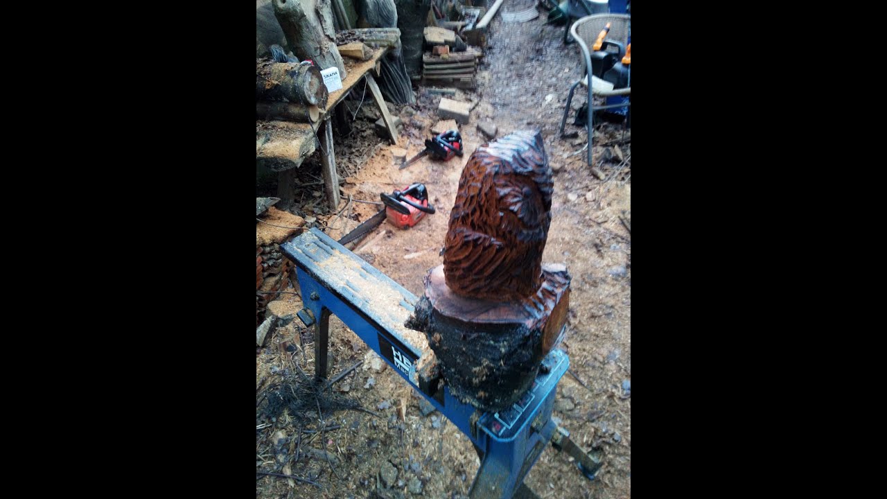 Fast Small Owl Chainsaw Carving