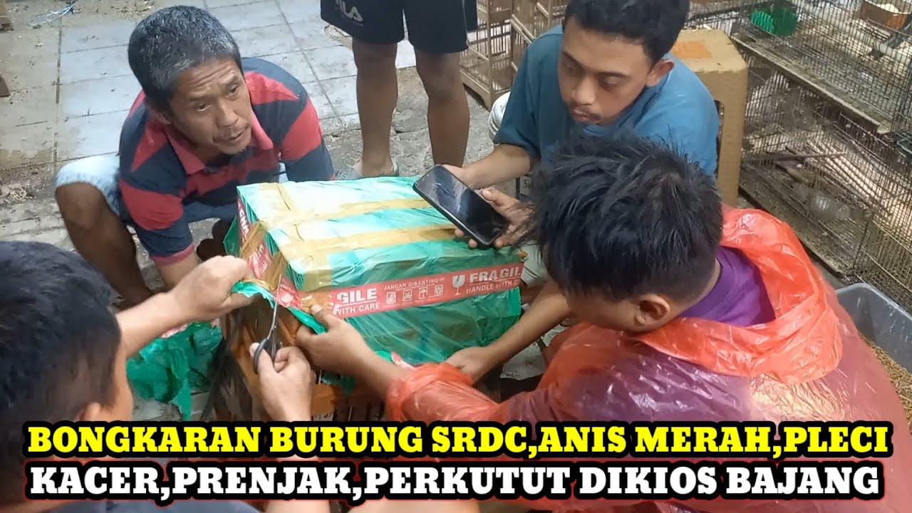 BONGKARAN BURUNG TERBARU HARI INI DIKIOS BAJANG PASAR BURUNG PRAMUKA