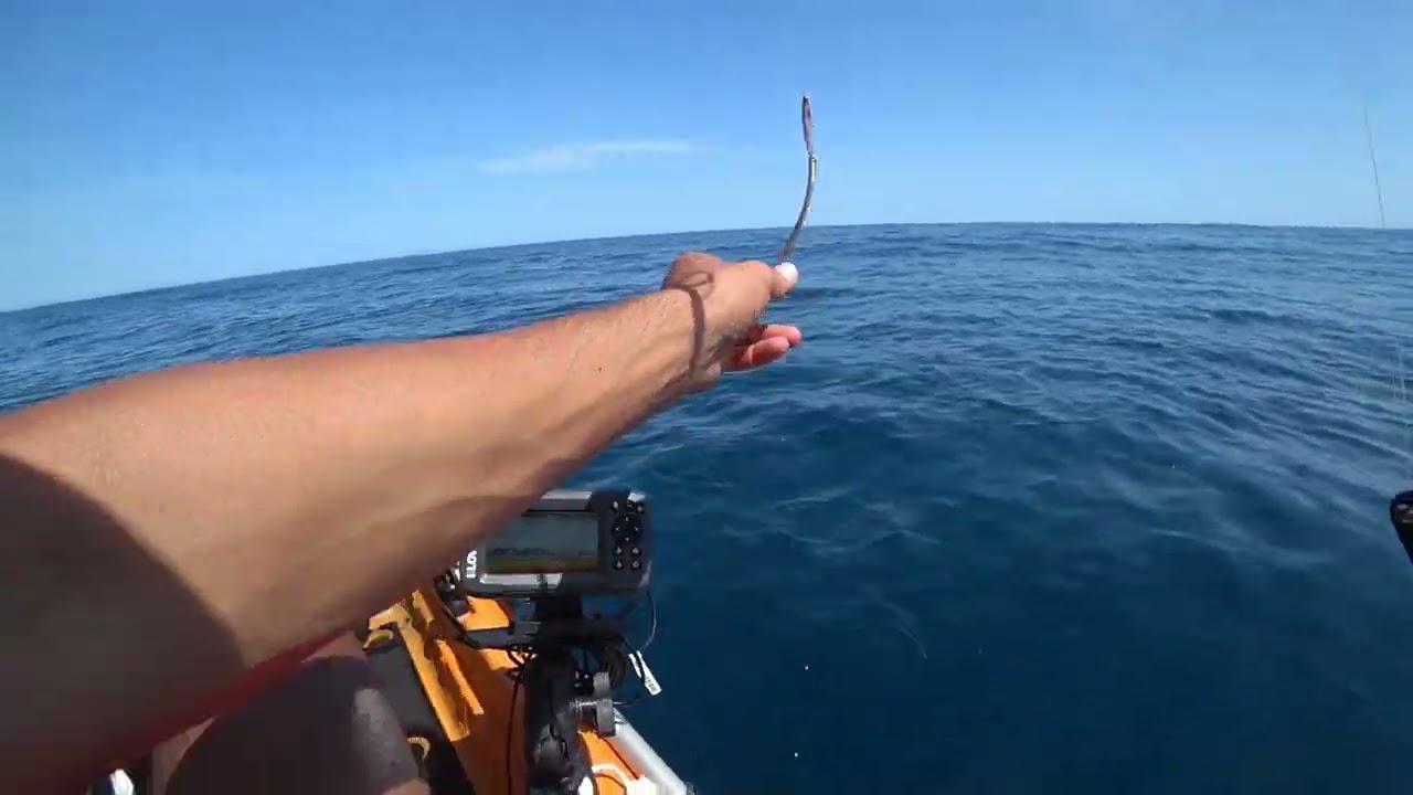 Pescando en nueva zona, salieron cositas y tambien con la peque!
