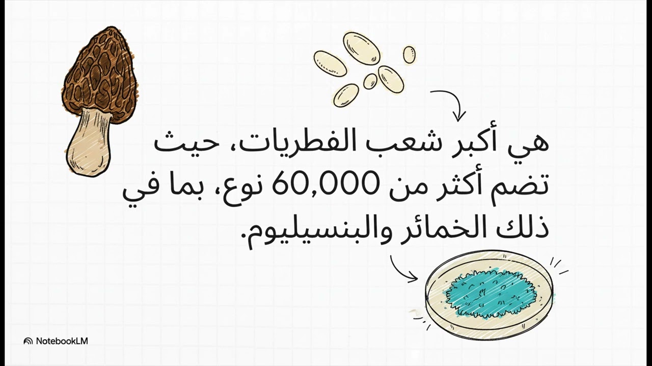 أحياء 1 أول ثانوي تنوع الفطريات وبيئتها