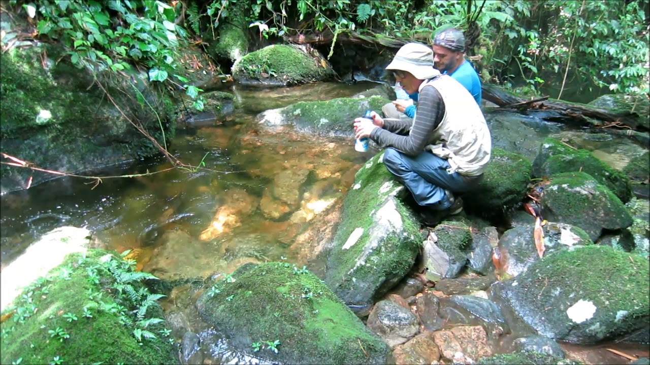 Pedra do Faraó - Cachoeiras de Macacu
