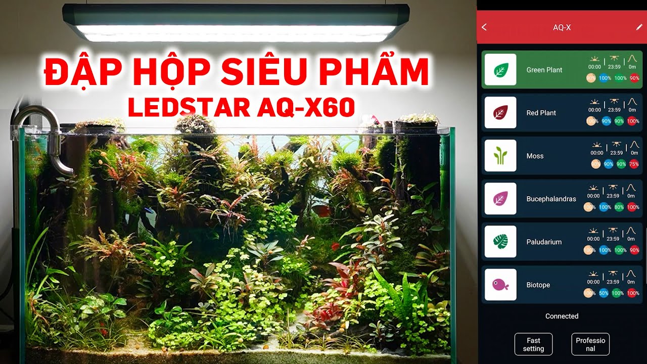 Đèn thuỷ sinh cao cấp, đập hộp hướng dẫn sử dụng chi tiết Ledstar AQ X60 - Thuỷ sinh Quới decor
