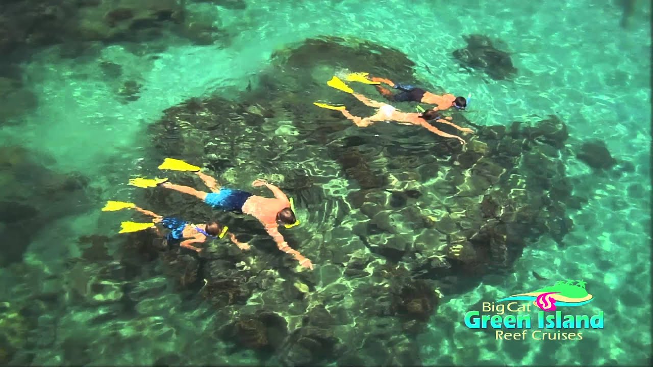 Snorkeling the Great Barrier Reef