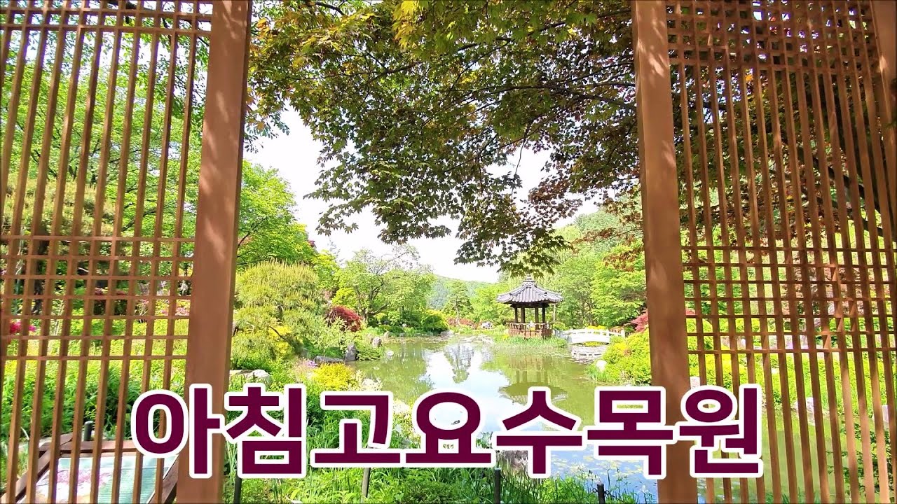 [아침고요수목원] 최고의 수목원 The Garden of Morning Calm