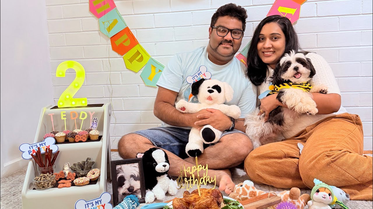 Teddy පුතාට දැන් අවුරුදු දෙකයි🐶Happy Birthday Teddy boy #puppy #shihtzu #shihtzupuppies Lucky & Dili
