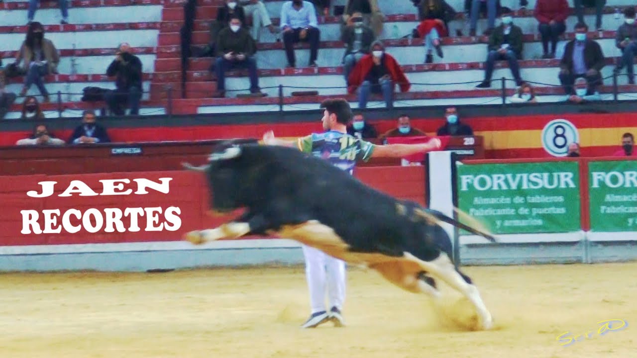 🟢2020 JAEN 01◾ INTEGRO Concurso Nacional de Recortes
