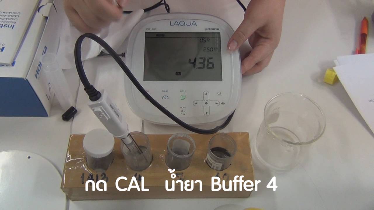 How to use pH1100