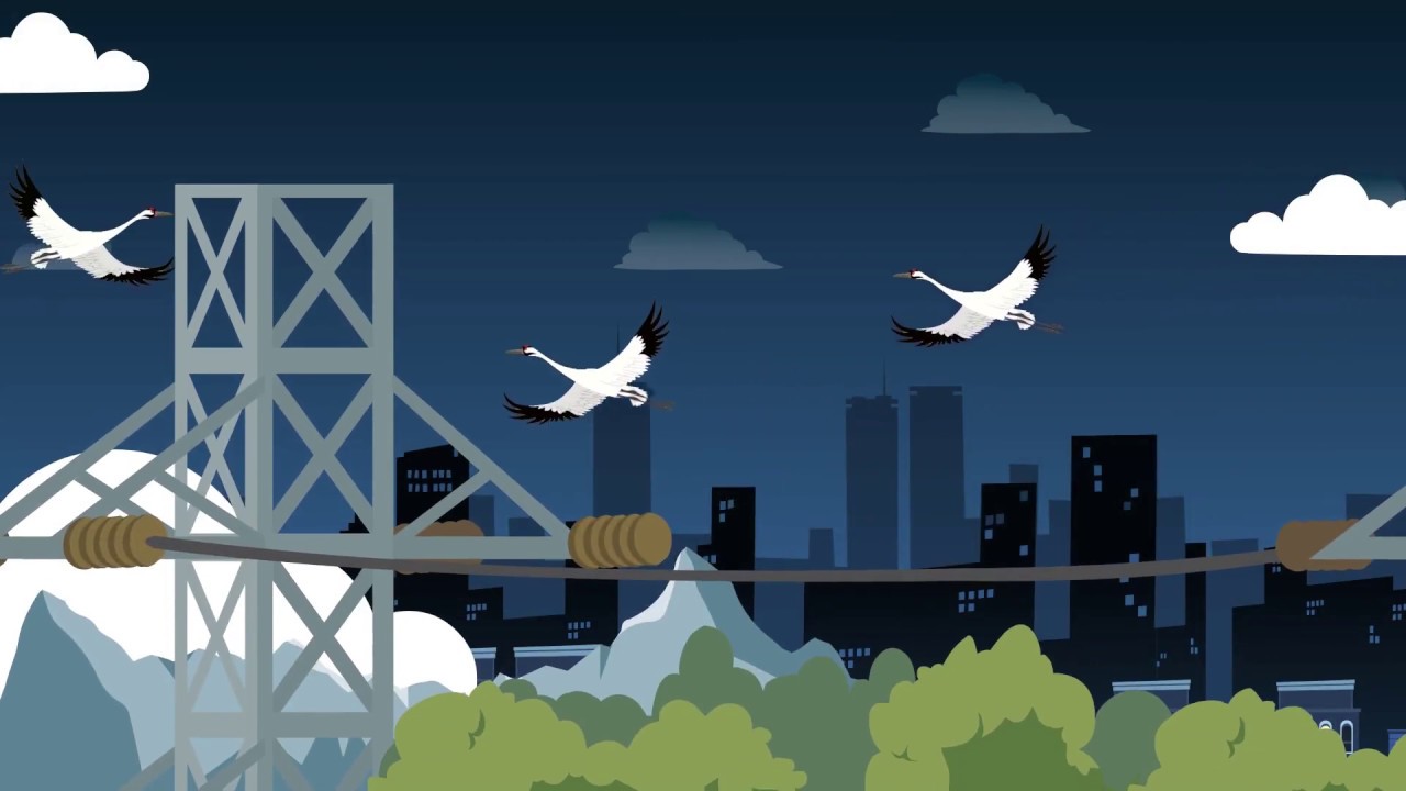 Bird Diverters Protecting Birds And Power Lines