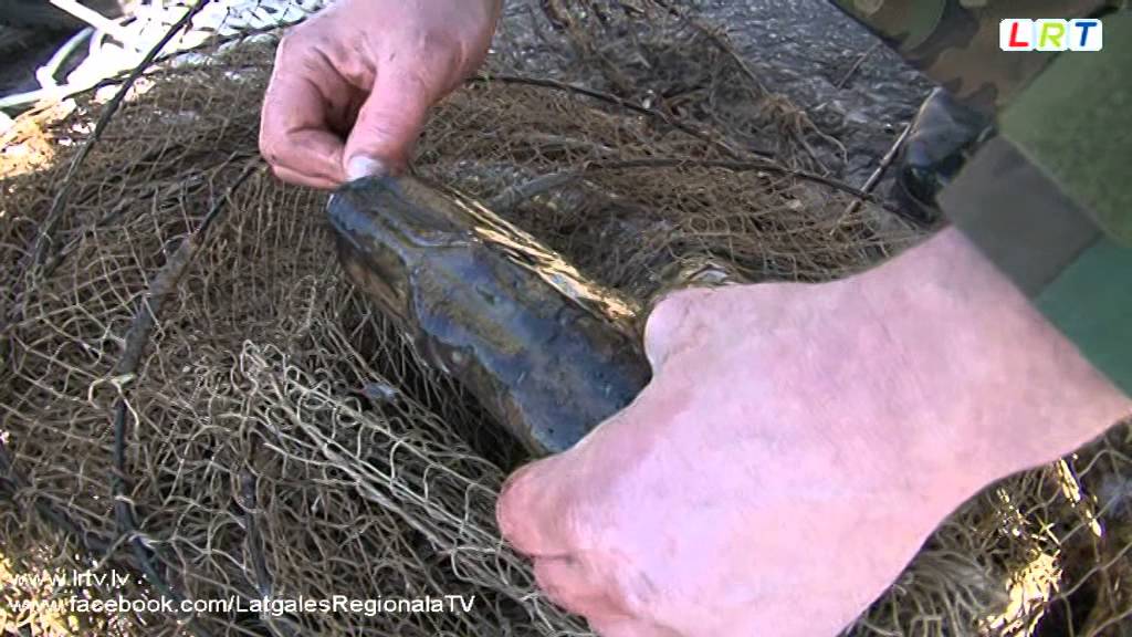 Latvijā sarosījušies maluzvejnieki