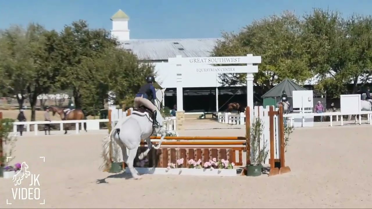 RSH Galaxy Dream - GSWEC Winter Series II - 3’3” Junior Hunter O/F