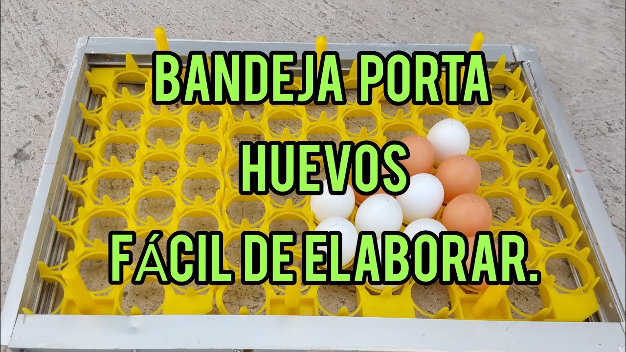 BANDEJA PORTA HUEVOS, FÁCIL DE ELABORAR.