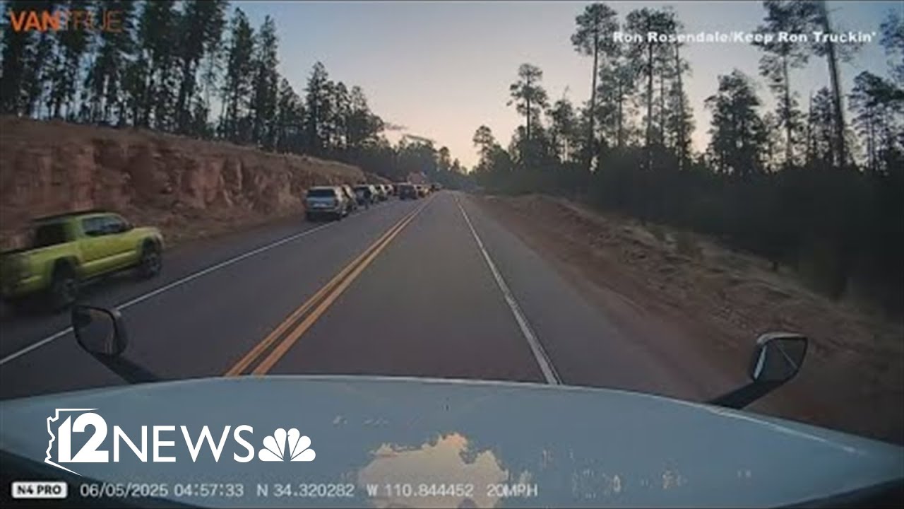 Shooting suspect killed in Gila County