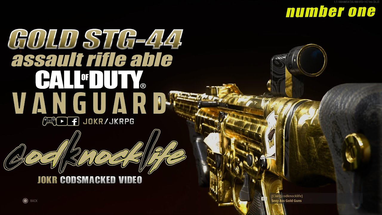 Call of Duty&reg; Vanguard: Gold STG44-AR