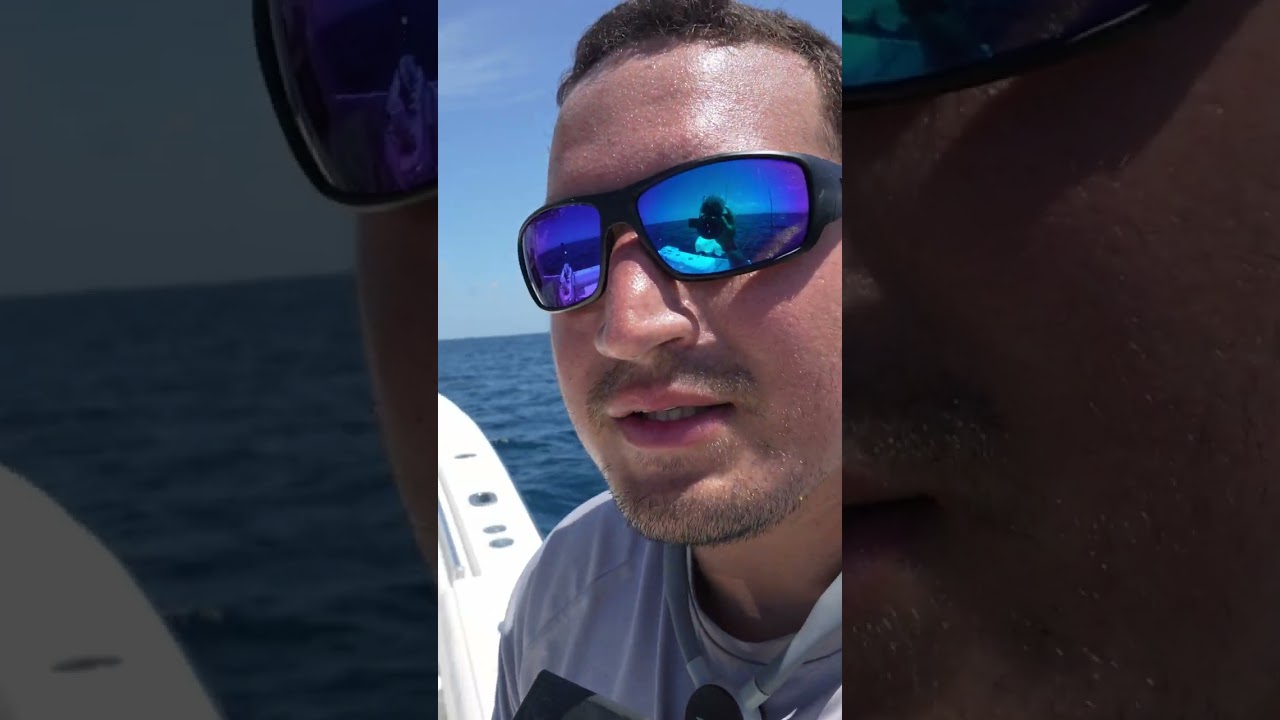 Snapper, grouper & kingfish haul 🐟 Full vid 🎥 