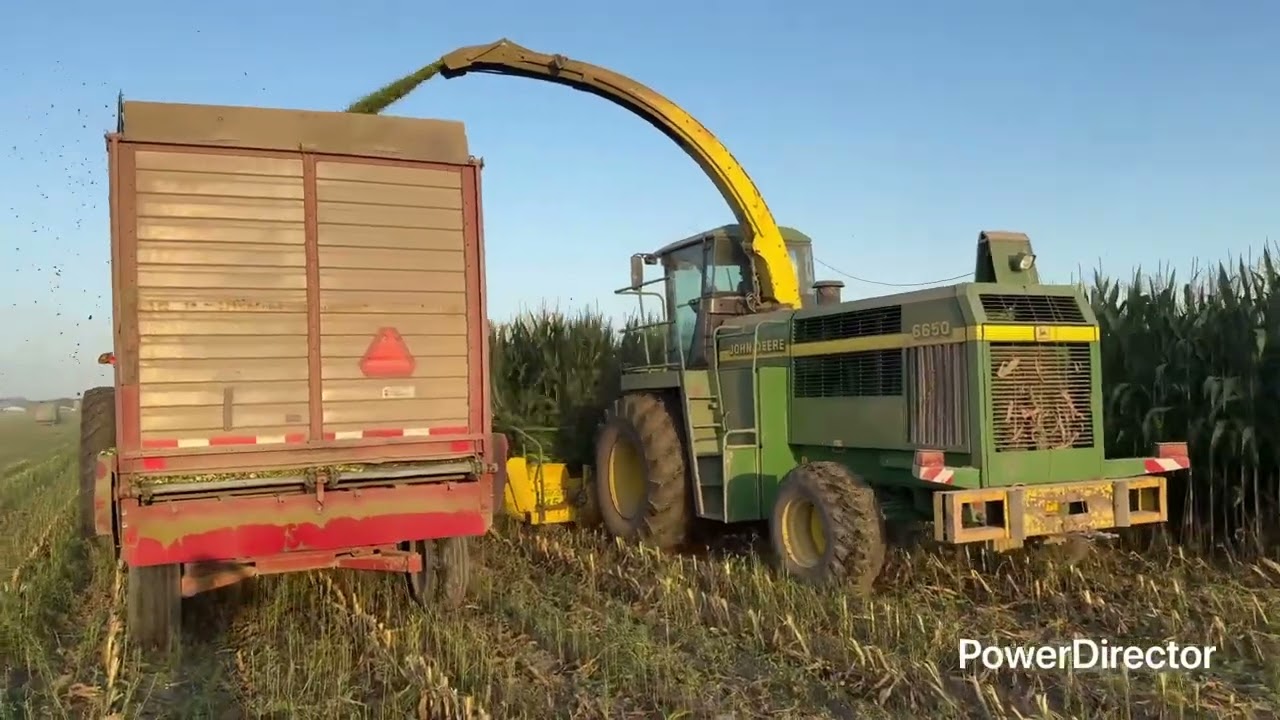 Chopping corn  silage with the asphalt cowboy